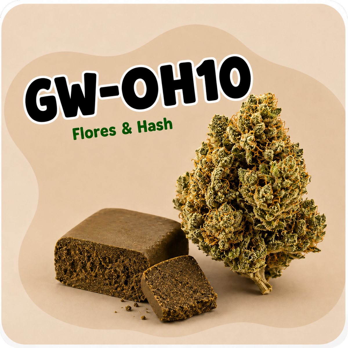 GW 0H10